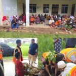 Food Pack Distribution